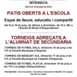 Cartell-patis-oberts-208x300